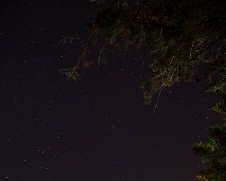 ciel_etoile 07/04/2019 - Au bord du lac Lacar Jumbo se repose sous un ciel de nuit étoilé. Stary, stary night with Jumbo on the edge of lake Lakar.