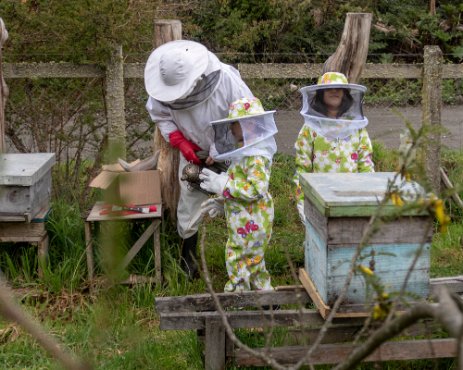 IMG_5665 06/10/2019 - Les petits enfants d'Harriet et Sergio ont droit à leur formation d'apiculteurs à Frutillar. Back in Frutillar where Sergio and Harriet's...