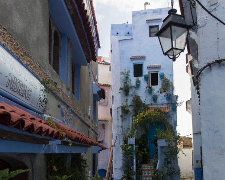 G37A3169 Chefchaouen, la pittoresque petite ville du nord du Maroc, célèbre pour ses murs bleus.