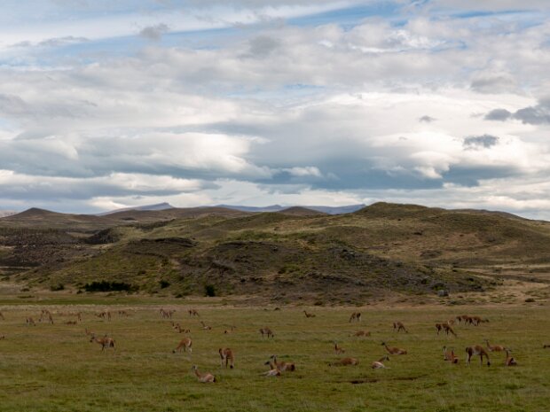 Amérique du Sud 2018-20--