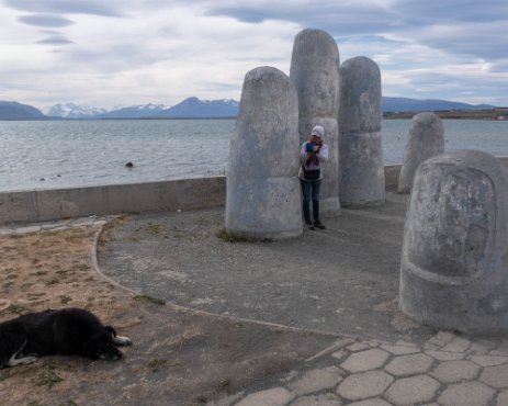 IMG_3067 13/01/2019 - Nous n'allions pas quitter Puerto Natales sans la photo traditionnelle auprès de la "Main". Hum, le chien du coin semble blasé. Yet another...