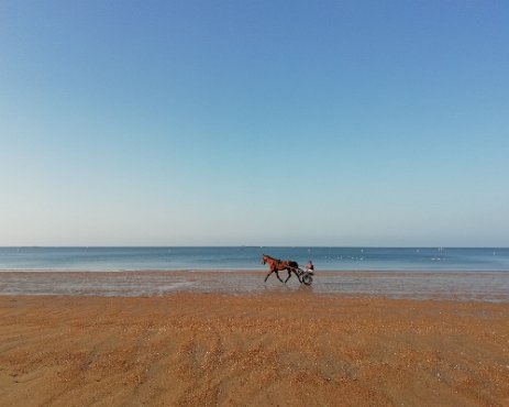 IMG_20180725_082652 25/07/2018 - Au petit matin la plage est à nous et aux chevaux. Early in the morning the beach is for us and the occasional horse - so beautiful!